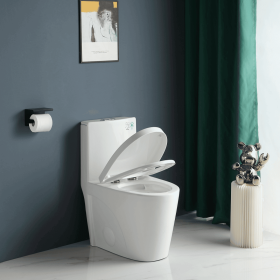 One-Piece Toilet, 1.1/1.60 GPF Water-Efficient Dual-Flush Elongated Comfort Height Floor Mounted, Standard-Size Toilet with Soft Closing Seat Inc